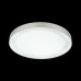 3031/DL SN 015 Светильник пластик LED 48Вт 3000-6500K D450 IP43 пульт ДУ/ LampSmart ASUNO