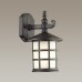 4042/1W NATURE ODL18 586 черный Уличный настенный светильник IP44 E27 60W 220V HOUSE
