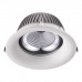 358026 SPOT NT19 109 белый Встраиваемый светильник IP20 LED 4100К 30W 220V GLOK