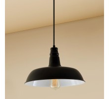 Подвесной светильник Citilux Эдисон CL450205 Черный Белый