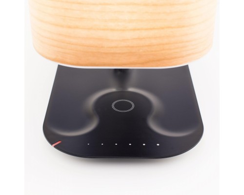 Настольная лампа Citilux Ньютон CL803042 LED Qi Bluetooth