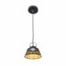 Подвесной светильник Citilux Орегон CL508112 LED Черный Золото